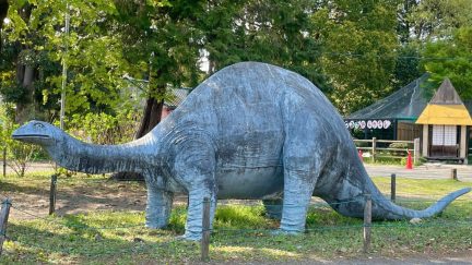 恐竜のコンクリート像の画像