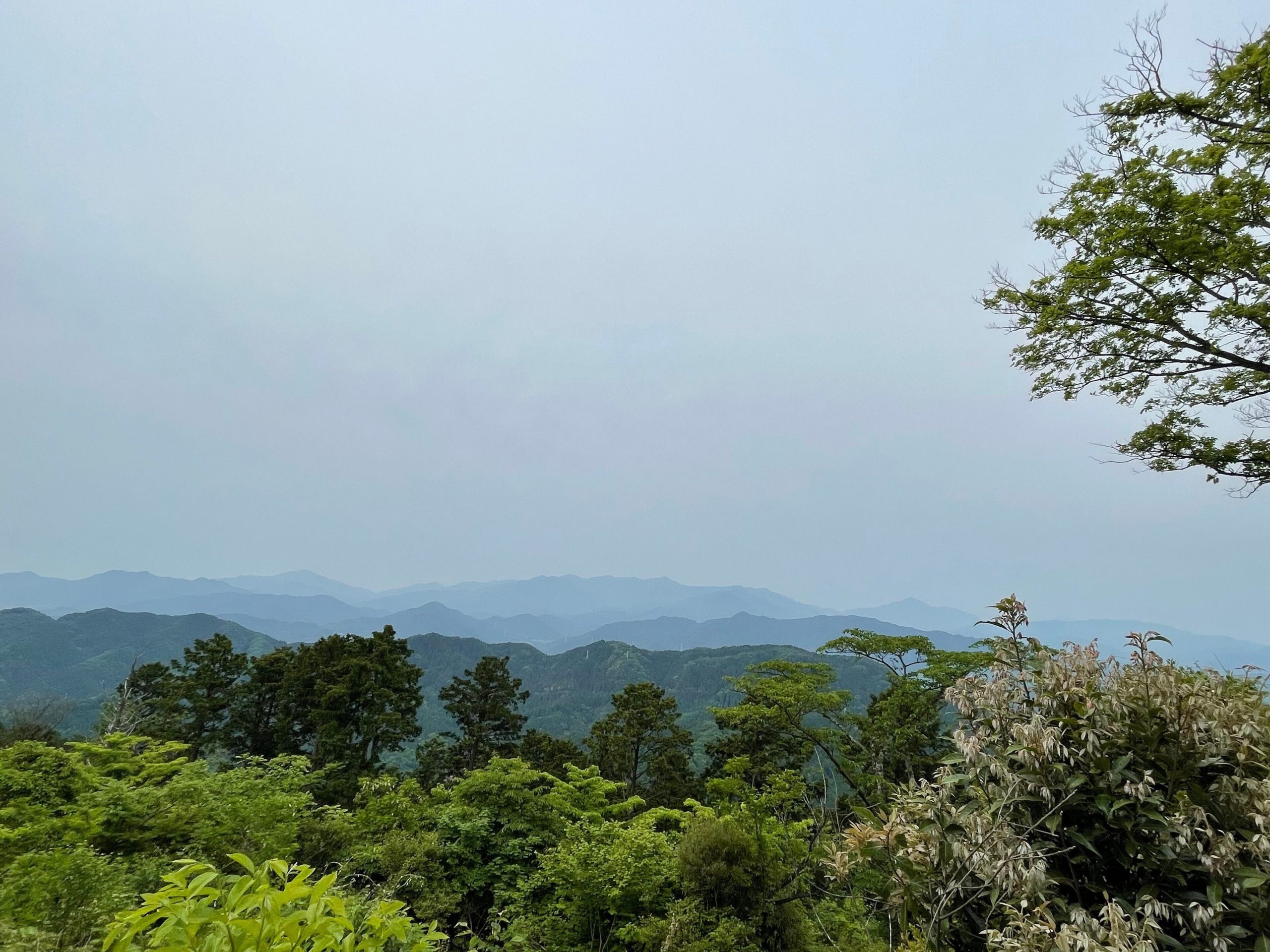 富士山の方角の山の風景画像
