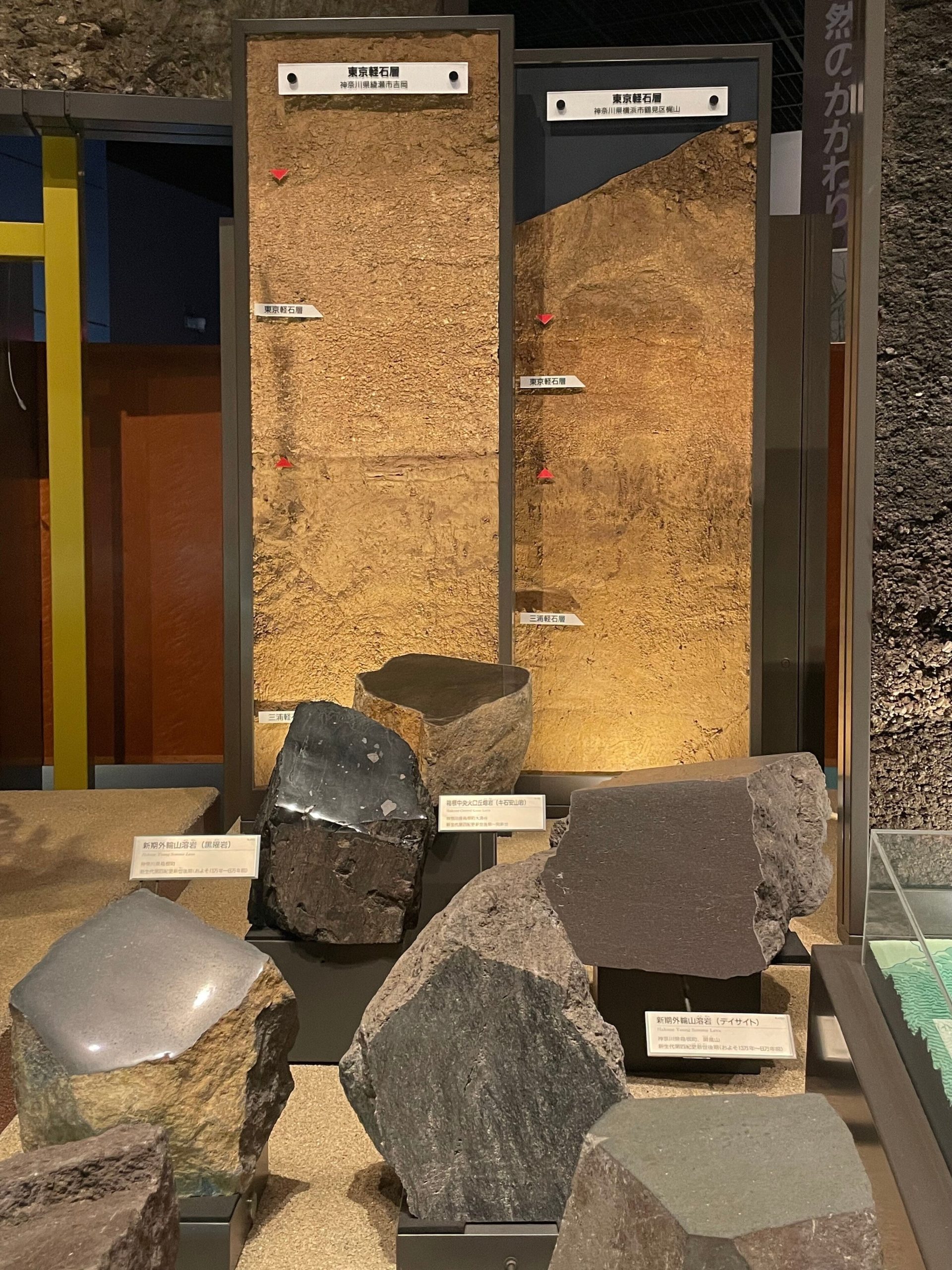 地層の標本と岩石の画像