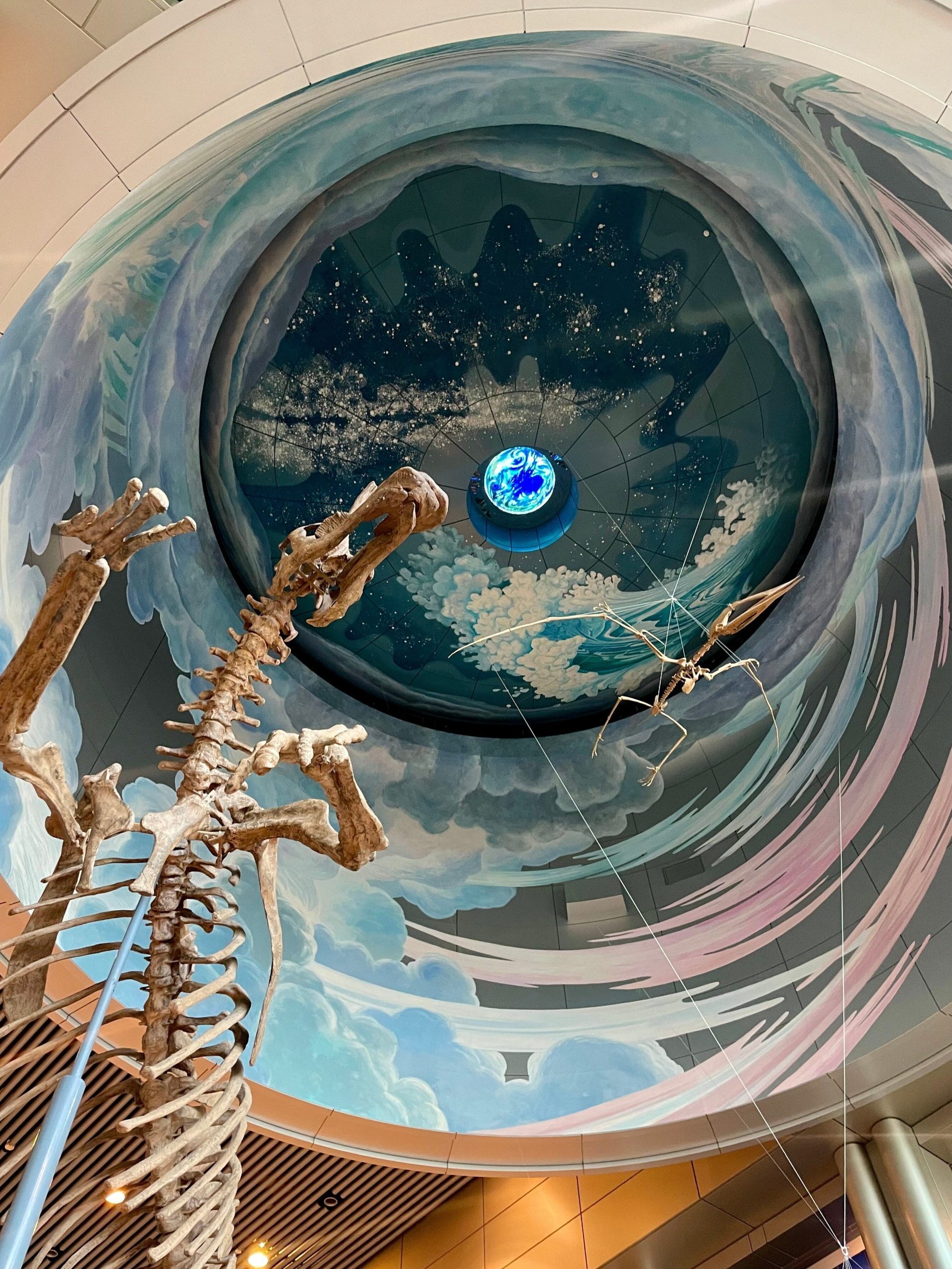エントランス、天井と恐竜の骨格標本の画像