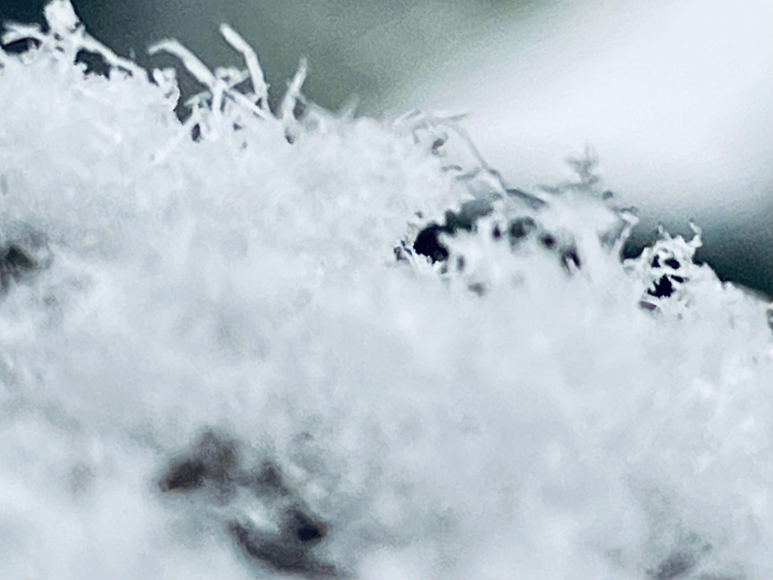 雪の結晶の画像