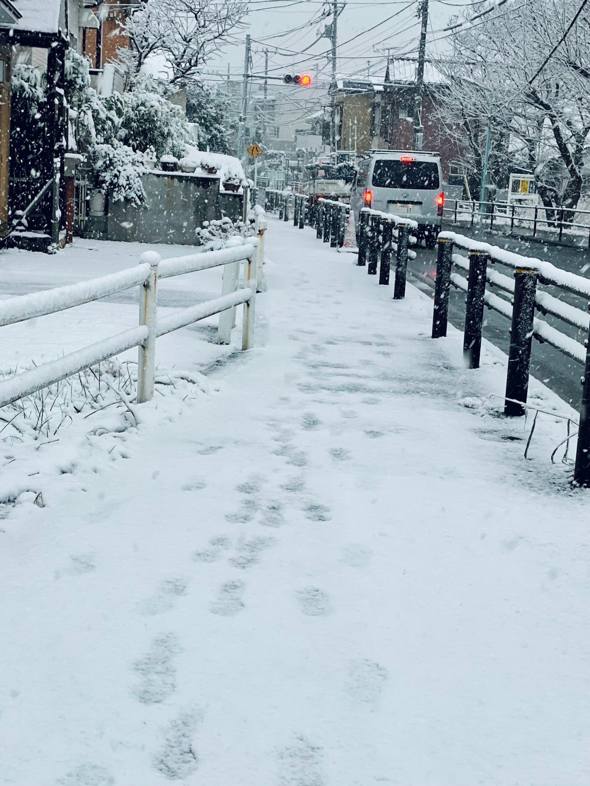雪の降る道路の画像