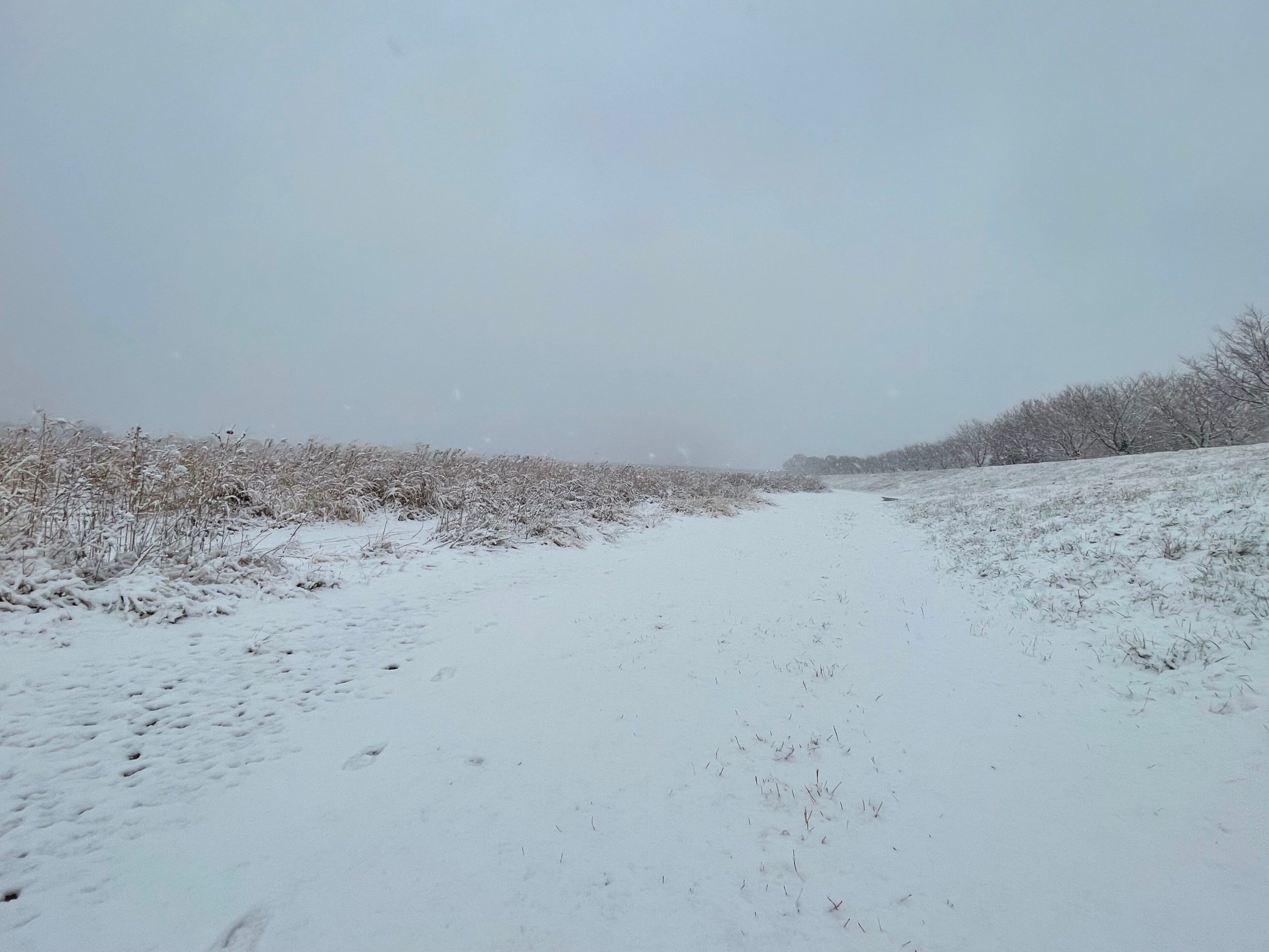 河原の雪景色の画像