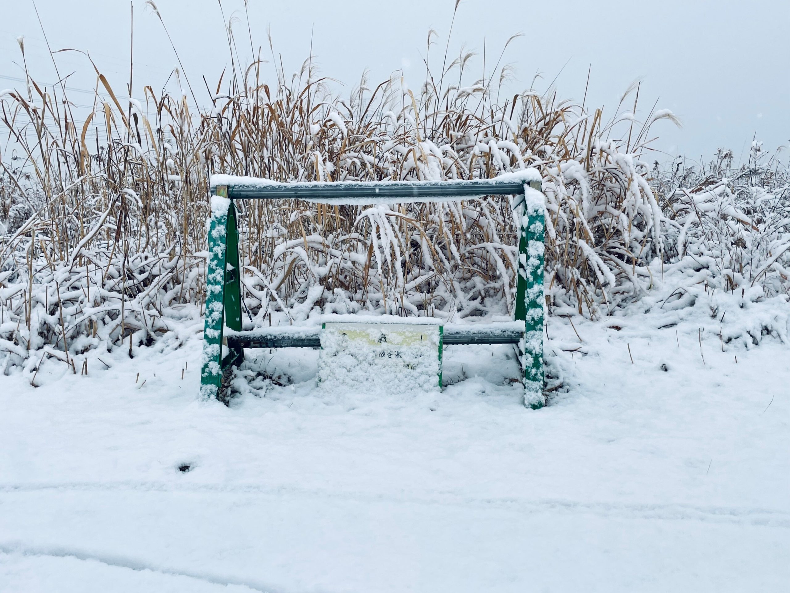 緑の柵に雪の積もった画像