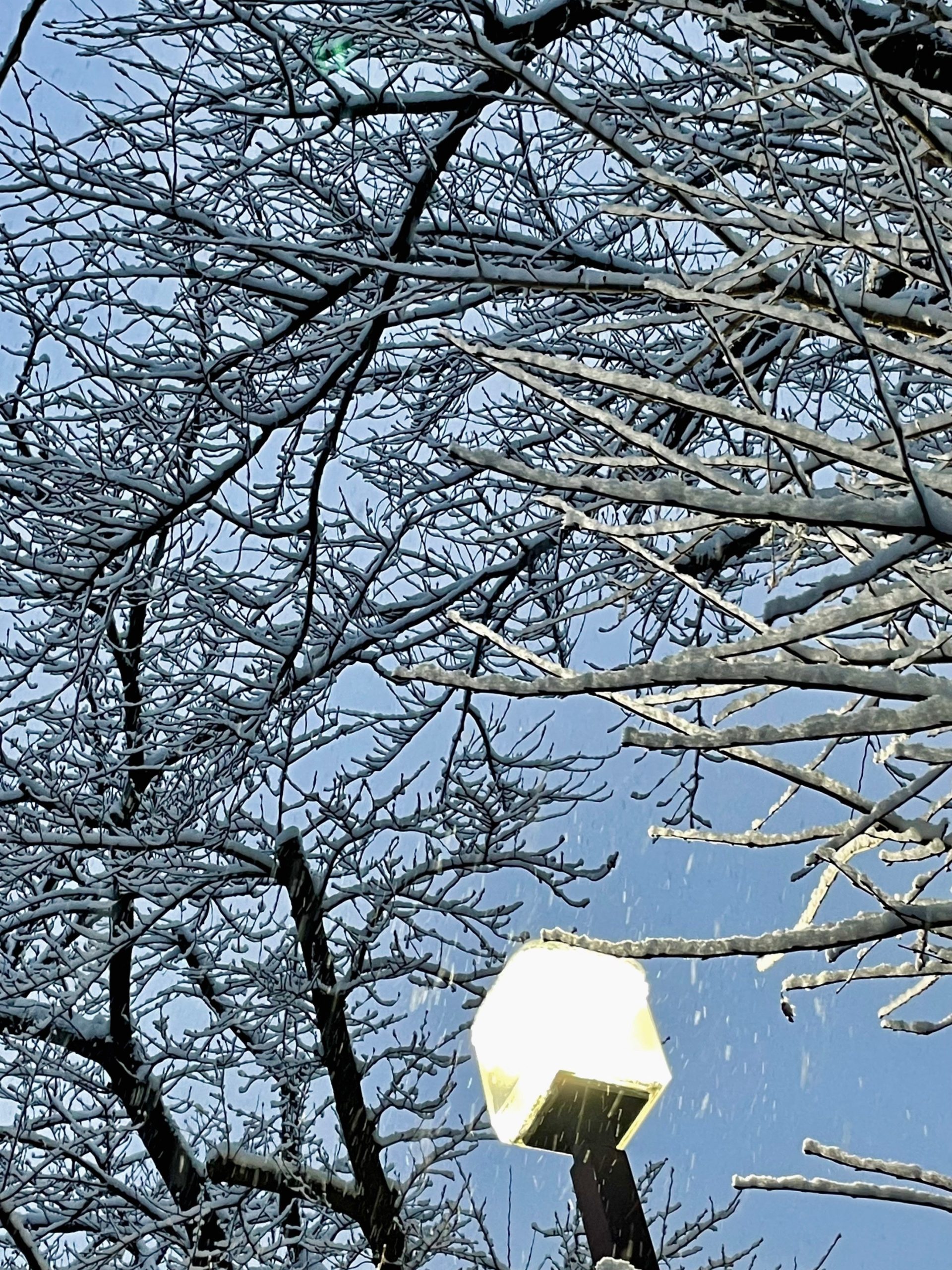 街頭のあかりで降る雪がみえる画像