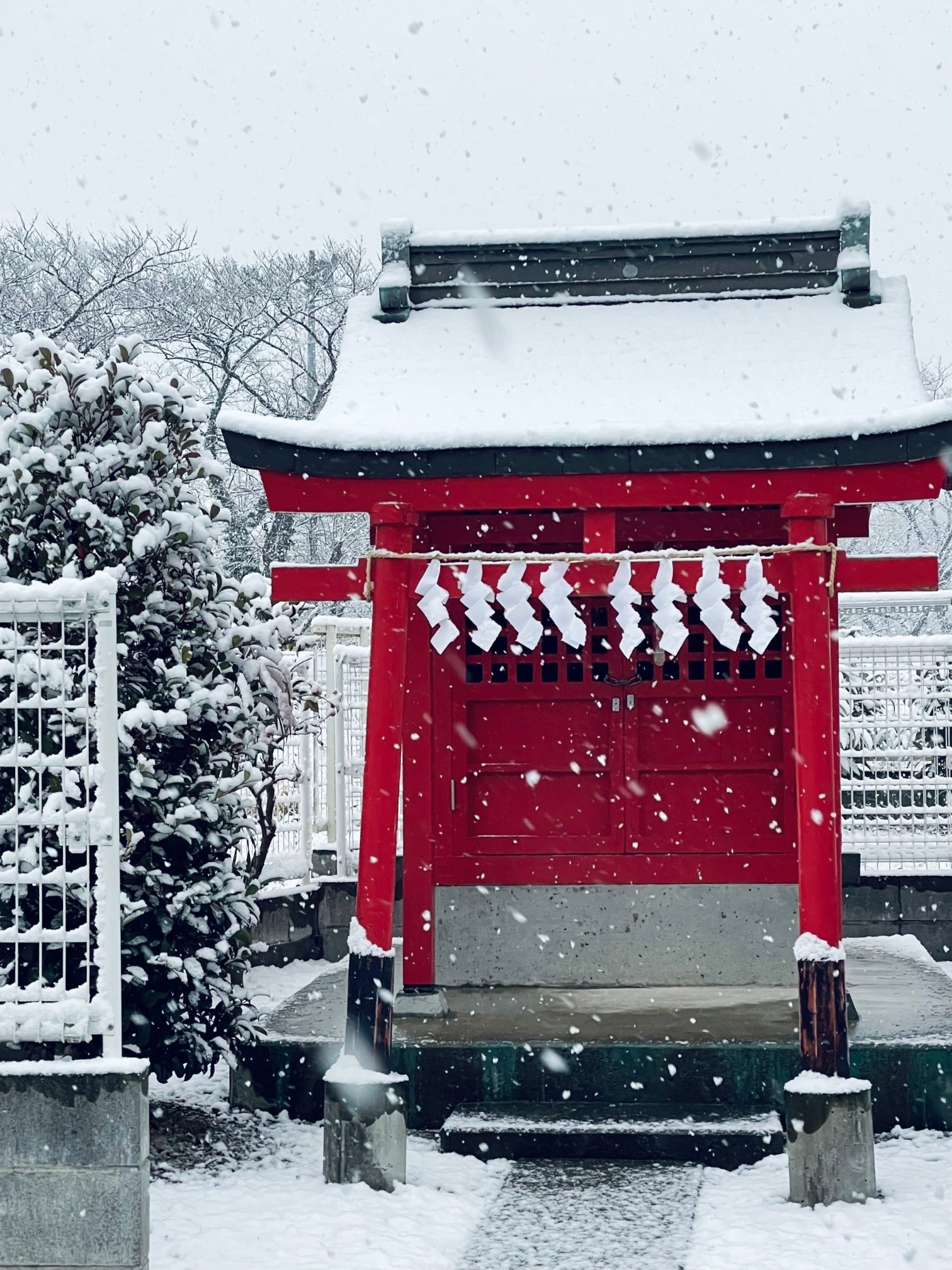 真っ赤な小さな社に雪が降る画像