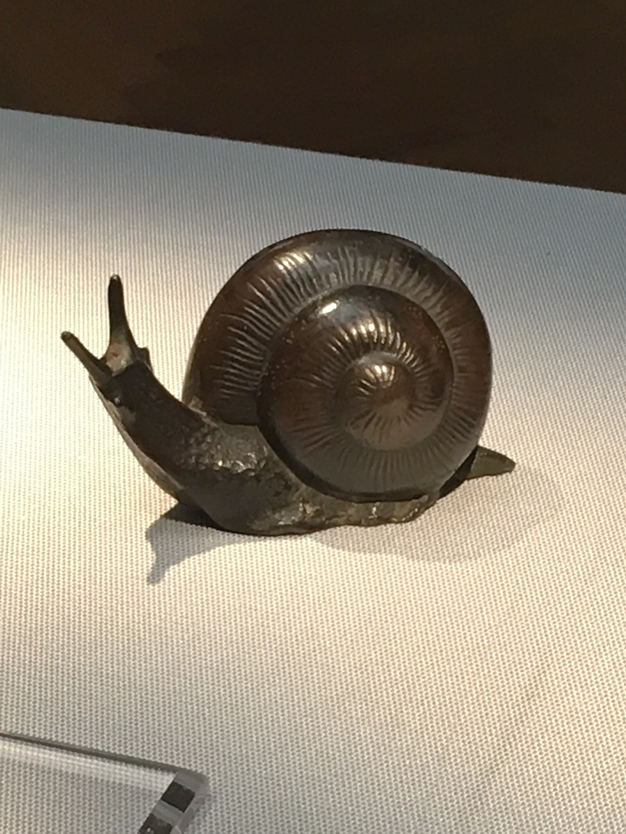 蝸牛の水滴の画像