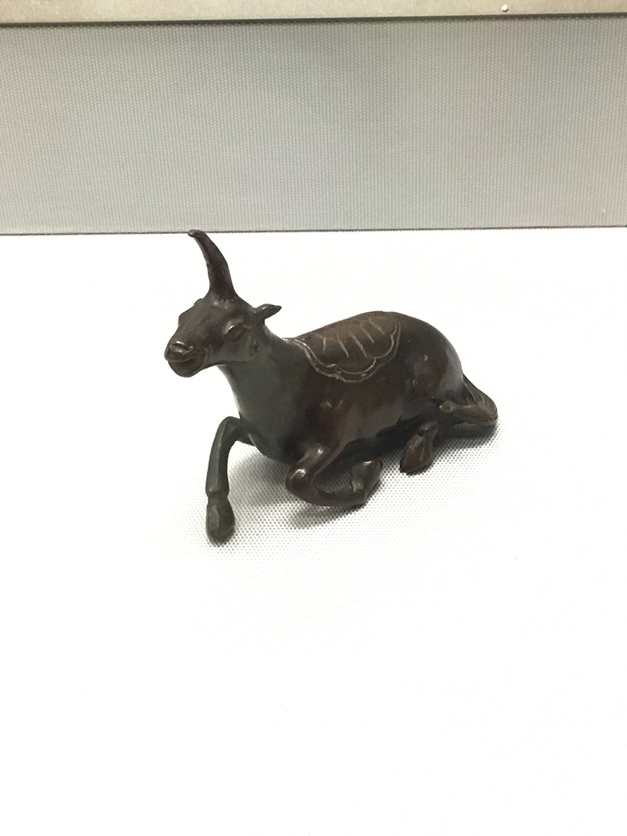 牛の水滴の画像